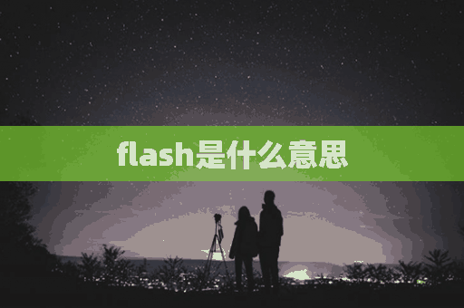 flash是什么意思